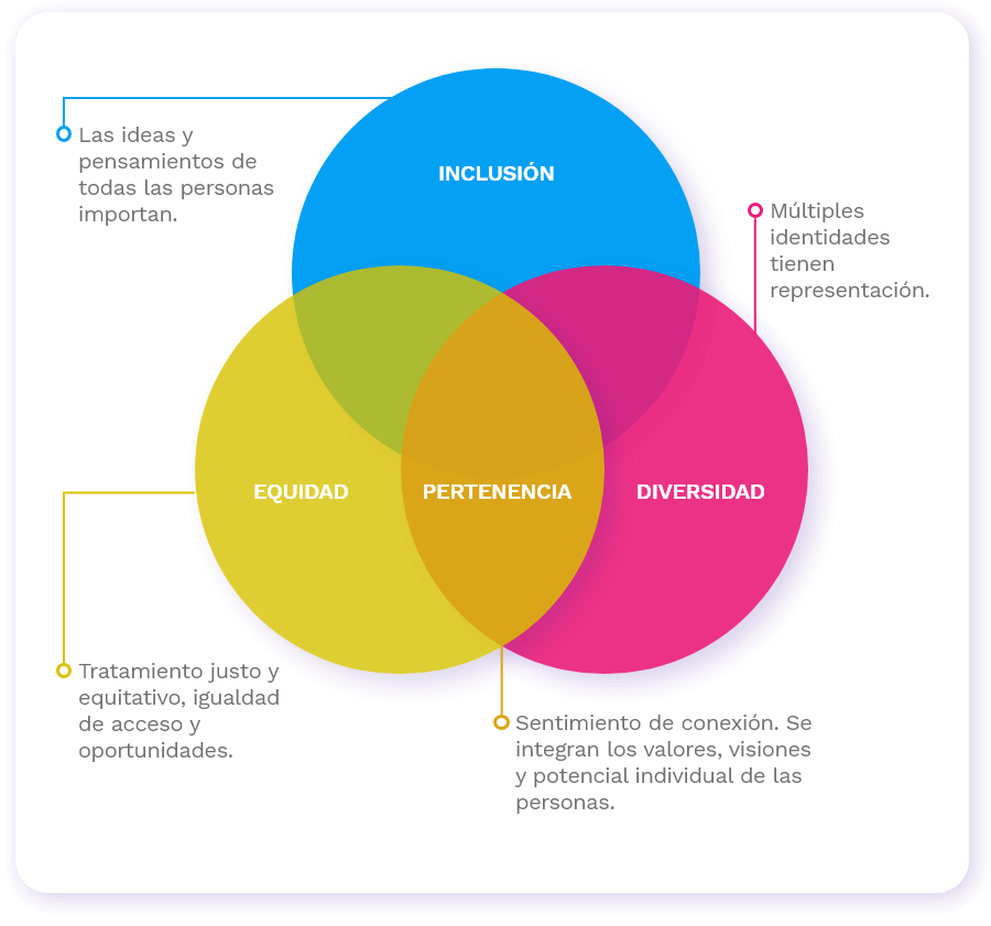 Diversidad equidad e inclusión