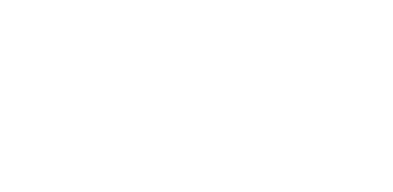 Evo